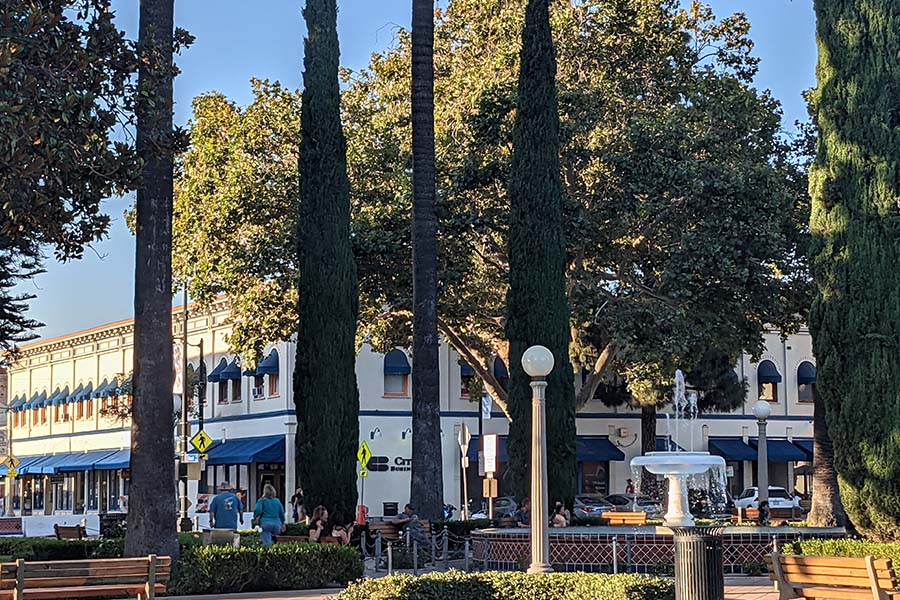 Homepage - View of a Downtown Plaza Displaying a Center Park With Tall Plants and Trees and a Water Fountain in the Center on a Sunny Day